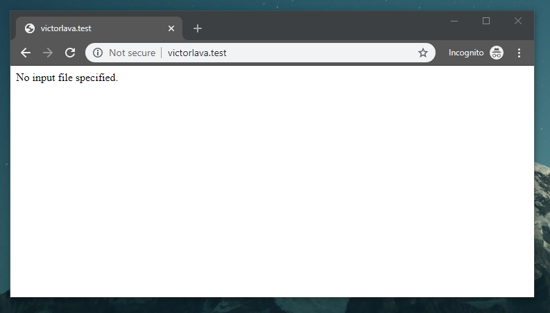 Laravel No Input File Specified